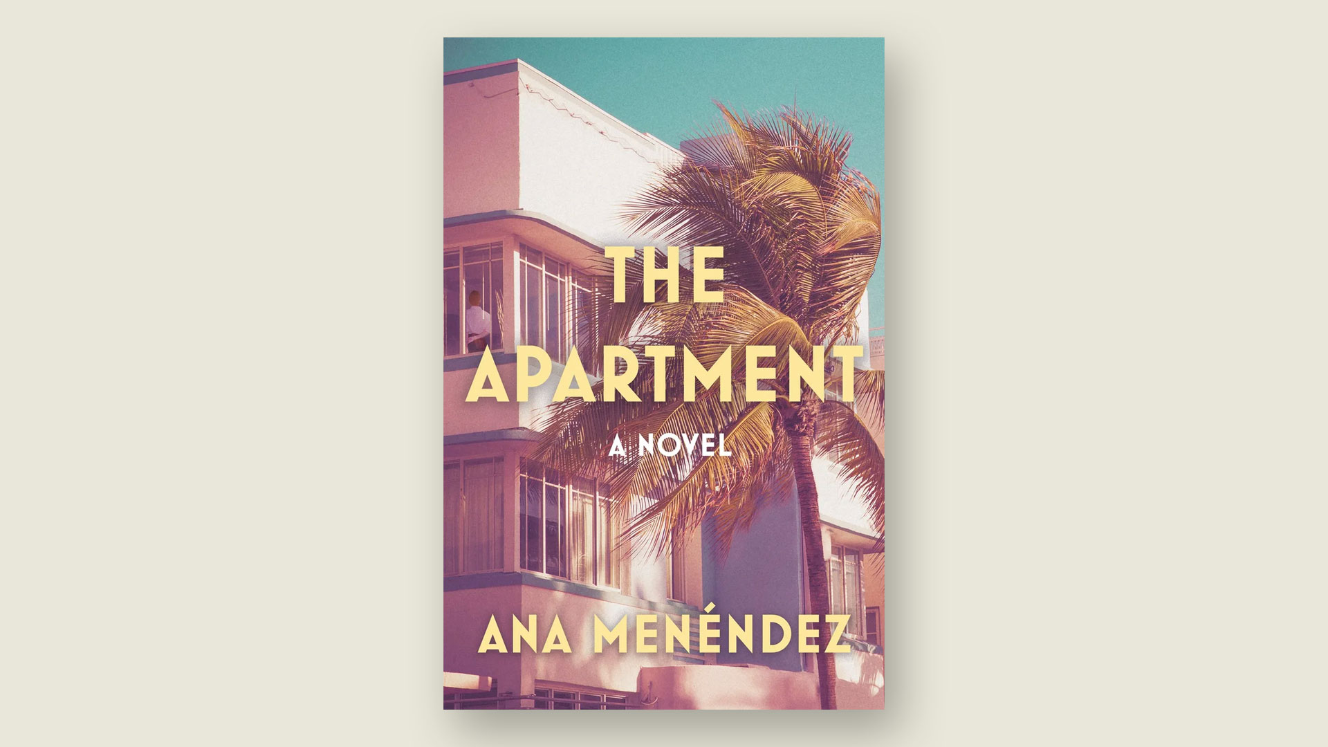 Book cover for The Apartment by Ana Menéndez