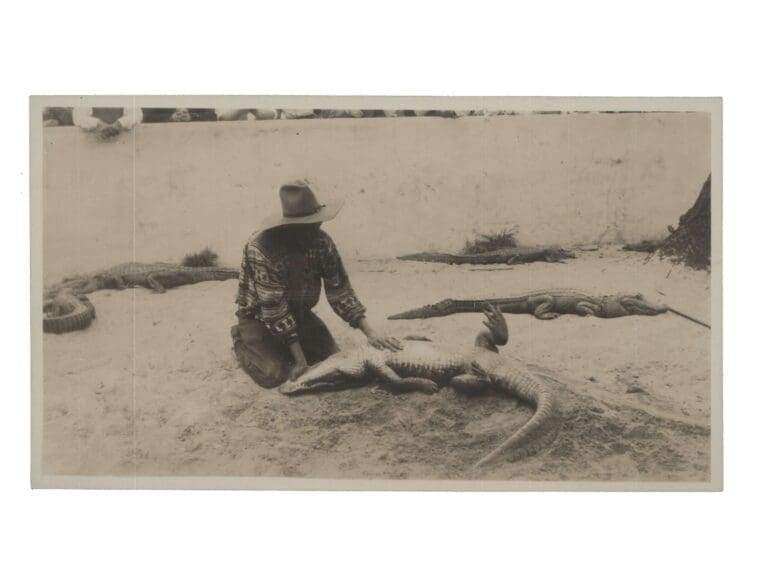Photograph of Seminole Indian wrestling an alligator.