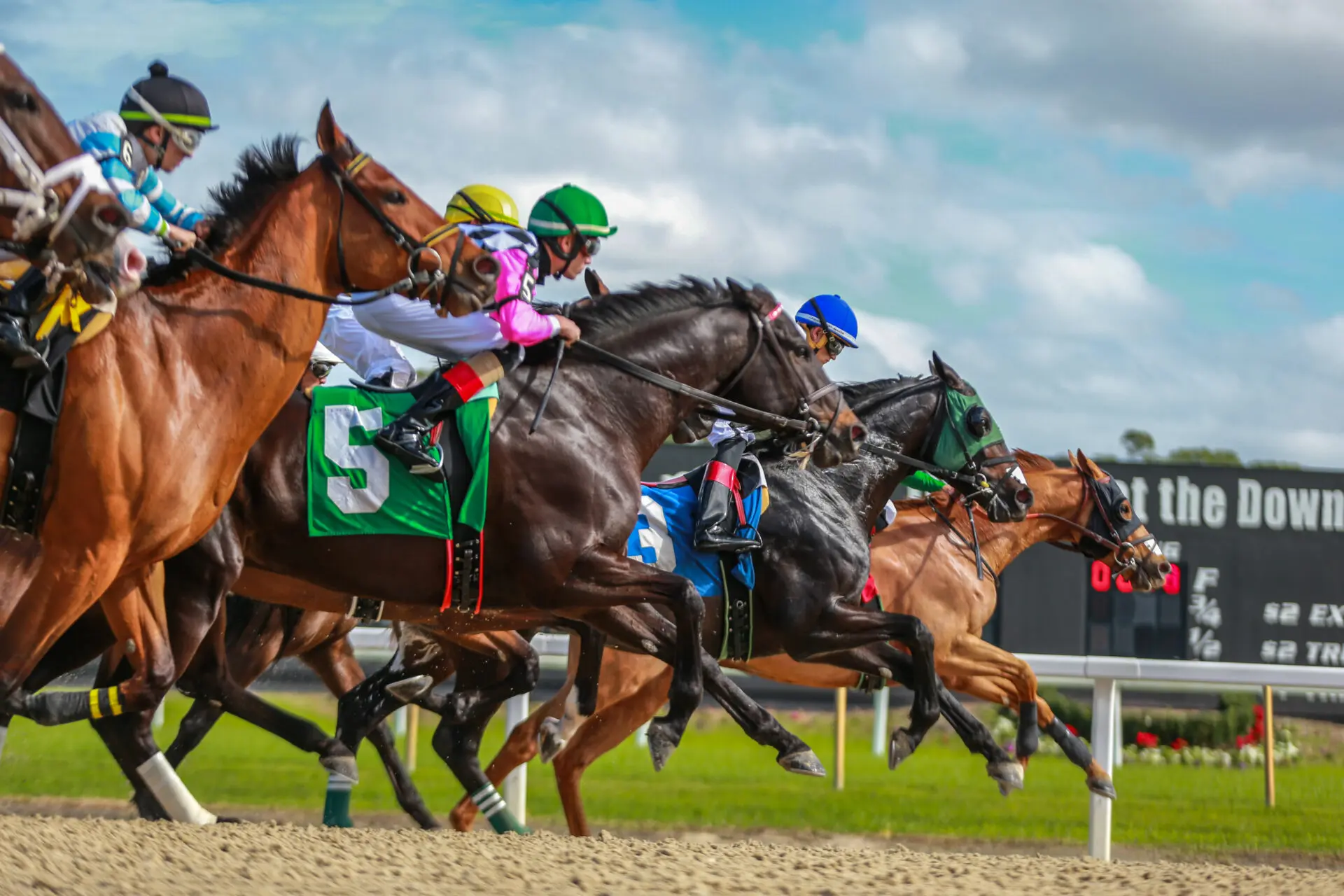 Racehorses and jockeys in colorful silks charging forward on a dirt track with the number five horse slightly ahead and a scoreboard and green infield in the background