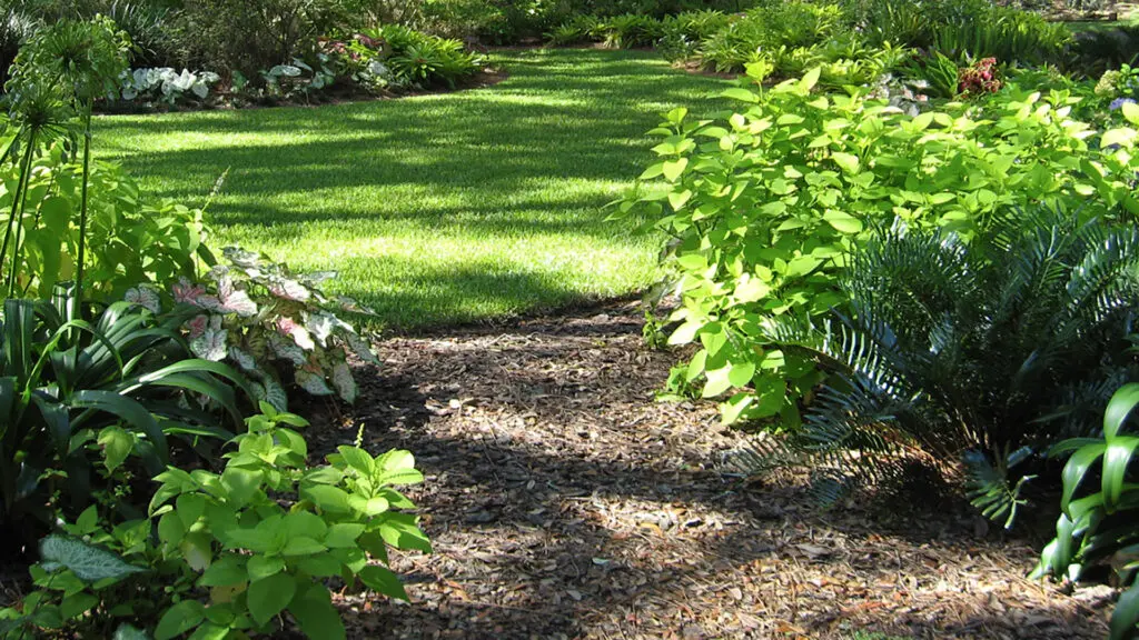Florida Conversations: The Nine Principles Florida-Friendly Landscaping