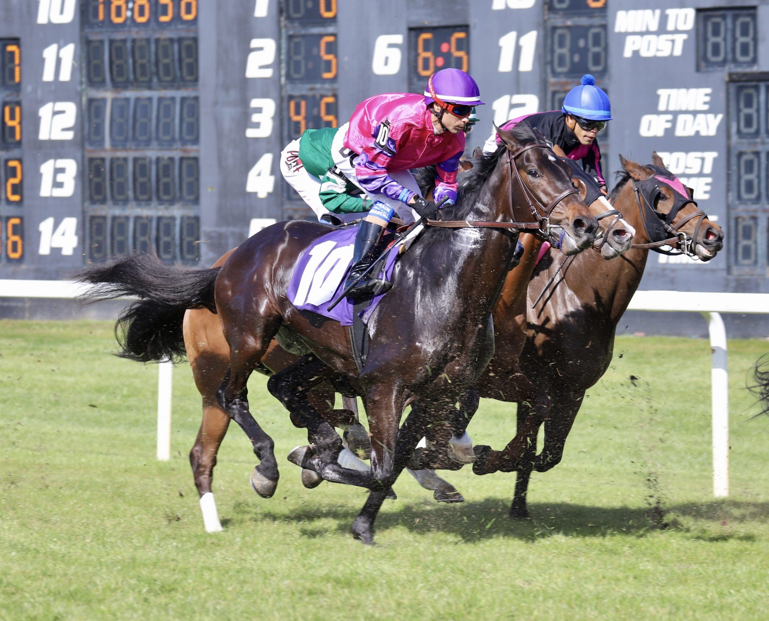 Fl Rizzo The Sport of Kings and Queens: Horse Racing in Tampa Bay | Tampa Bay ...