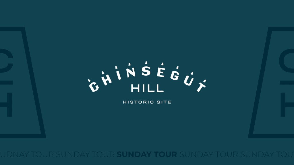 Chinsegut Hill Historic Site